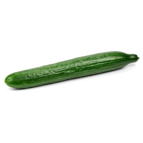 Continental Cucumber, Each