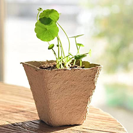 Seed Starter Tray 10 Pot Kit