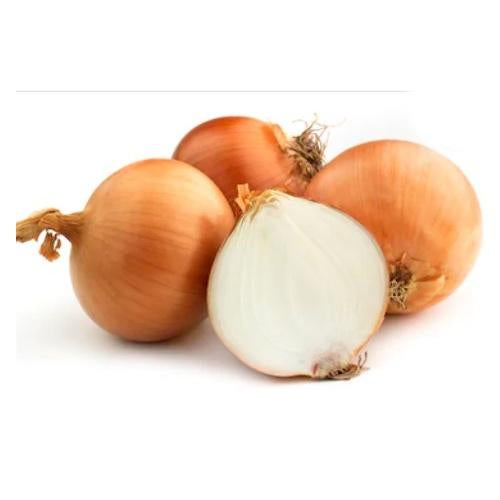 Onion, Brown 1kg Bag