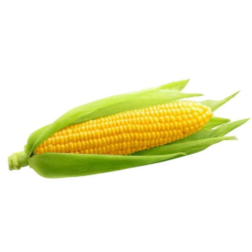 Sweet Corn Cobs, Each