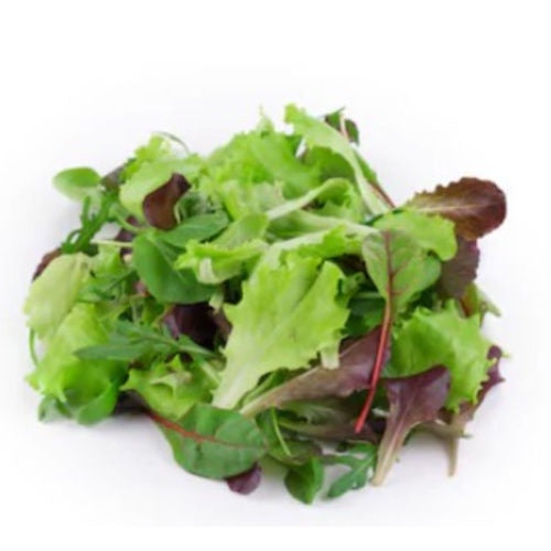 Salad Mix 100g Punnet