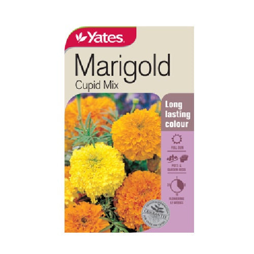 Yates Marigold Cupid Mix Seeds